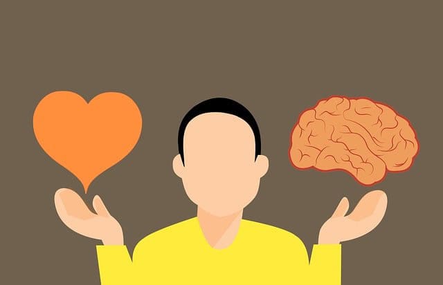 head and heart leadership