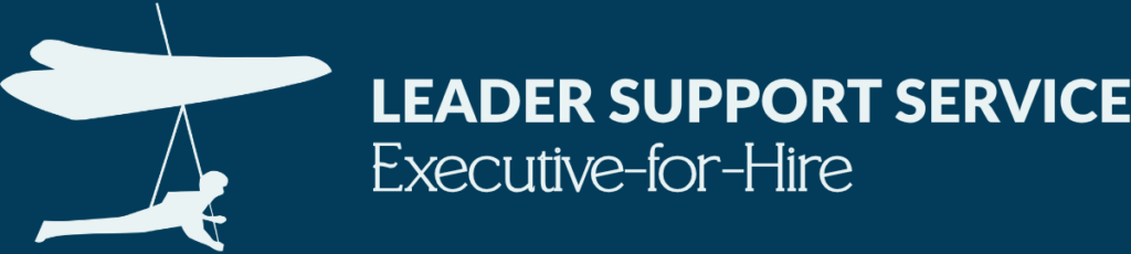 executive for hire