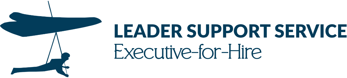 executive for hire