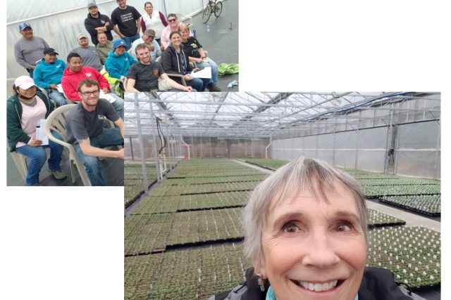 Greenhouse