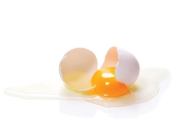 egg-page1