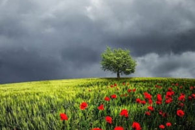 hd-wallpaper-838666-1300