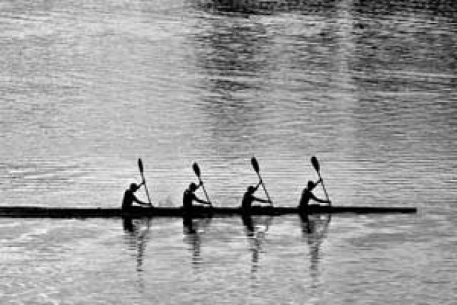 rowing-8135184_300